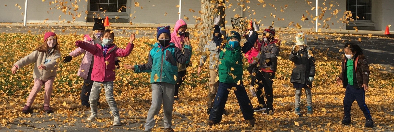 students playing in fallen leaves